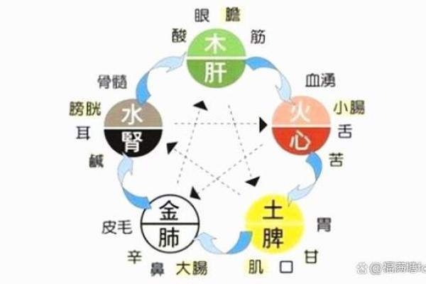探索五行缺水命格的奥秘与人生启示