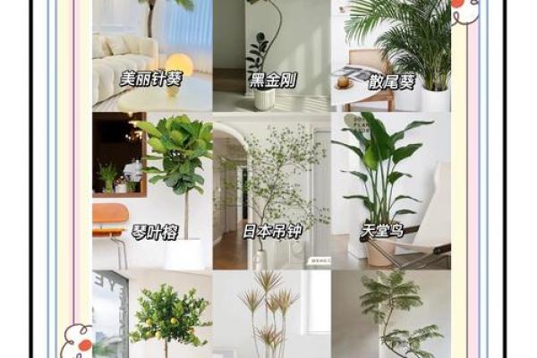 土命人的植物摆放秘籍：让家居环境更和谐！