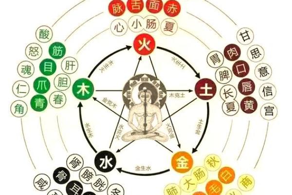 探索土命火猴的五行缺失与自我提升之道