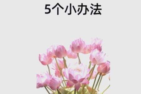 招财命与聚财命:财运的双重密码,解锁财富人生的秘诀!