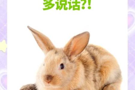 探寻生肖兔的爱情:七五年婚姻命运的秘密与启示
