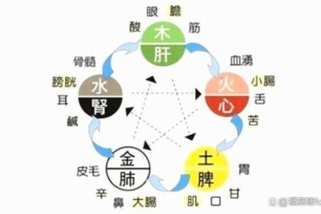 探索五行缺水命格的奥秘与人生启示