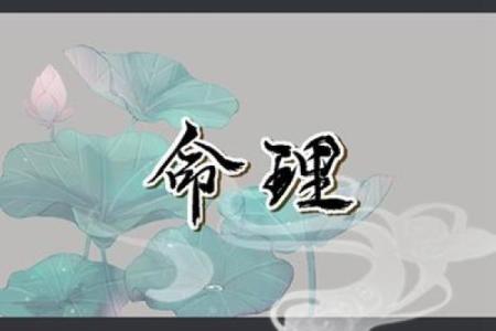 未之富贵之命:潜藏在命理中的秘密与启示