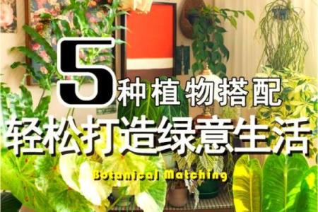 土命人的植物摆放秘籍:让家居环境更和谐!