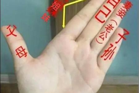 小拇指的秘密:上下两半揭示你的命运与性格