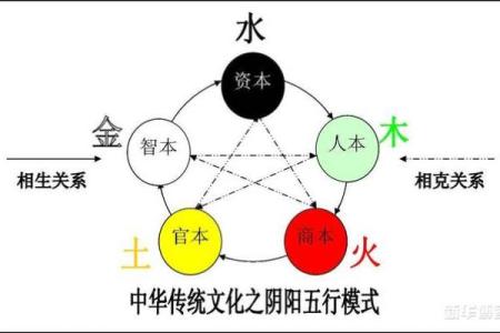 探秘人的命格:你是否属于木命?木命的秘密与特质解析