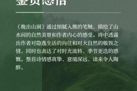 探秘山涧水命:自然流淌中的生命之韵与智慧