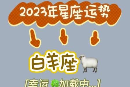 土命马命里的喜好颜色:解锁运势与生活的秘密