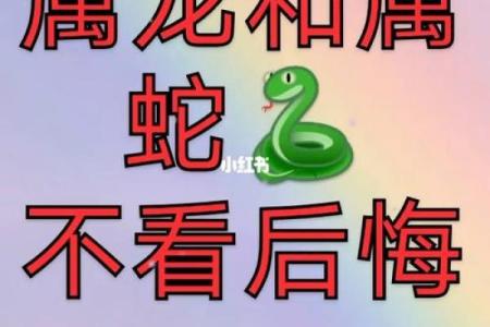 探秘一胎马二胎蛇命理,揭示命运背后的奥秘与启示