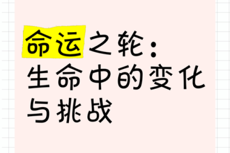 探索命运的交替:以命换命的深刻哲学与实践