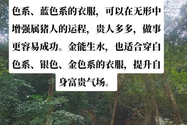 五九命属猪男的命理特点与生活智慧