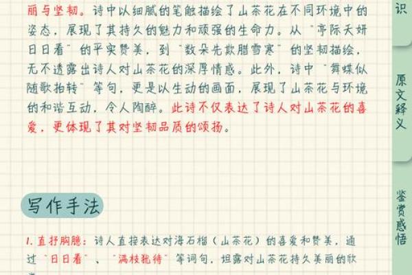 探秘石榴命与大海命：命理的奥秘与人生的启示