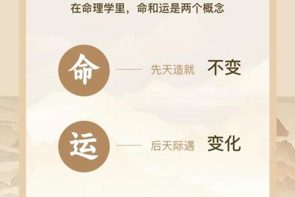 探索壬子壬寅庚午壬午命主的独特人生轨迹与命运解析