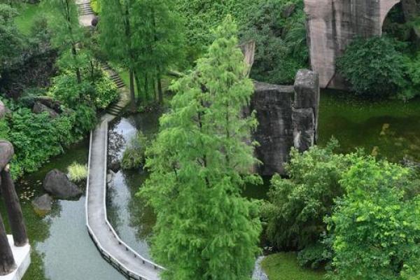 探秘命格：哪些人适合坐上莲花山的巅峰？