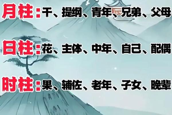土命女孩的命理解析：揭示她们缺失的元素与性格特征
