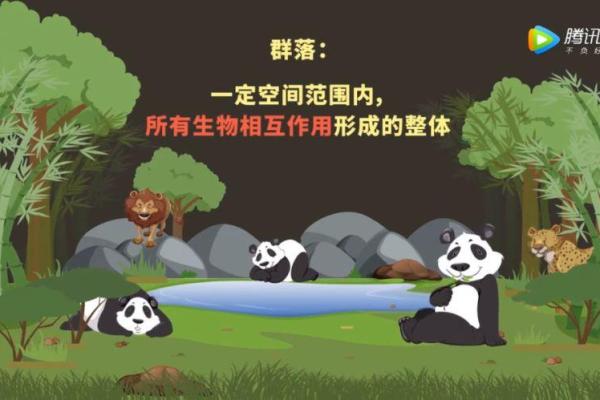 以命续命：探索生命延续的五大必备条件