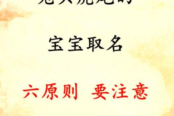 兔尾龙头的命理解读：它真正属于哪种命？