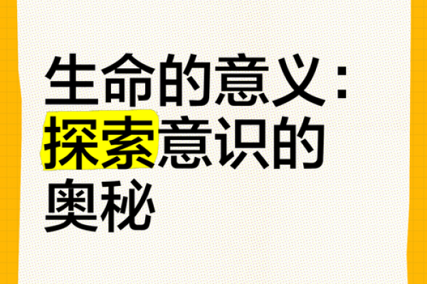 探索生命的意义：揭示人们为何会感到生命的价值与重要性