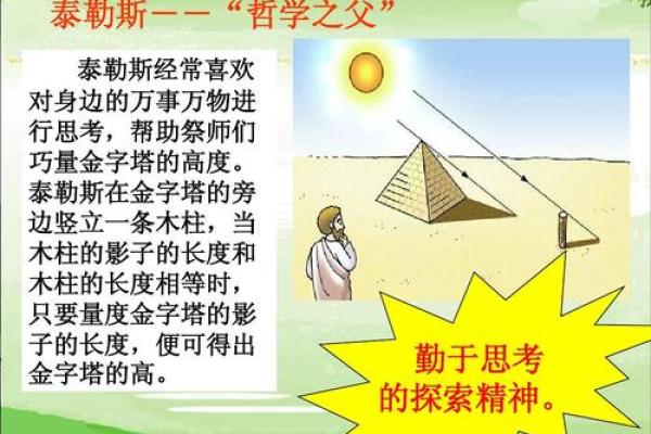 探索乌龟生日六月初三的命理奥秘与人生哲学
