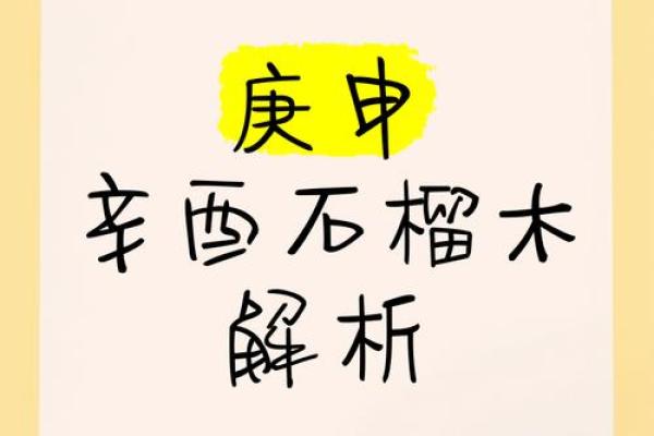 探讨石榴木命：探寻生活中最合适的命运搭配