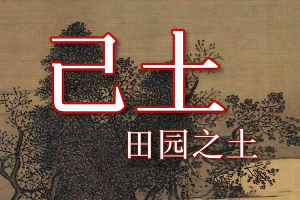 五行土最多，命格深奥：探索命理中的厚重之土