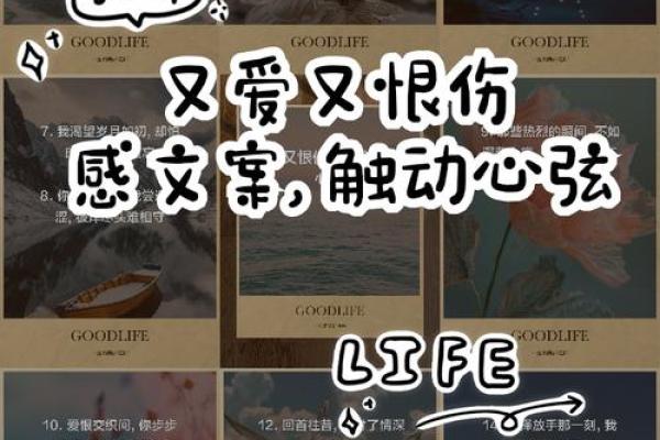 惜你如命恨你入骨：爱与恨的极致对立