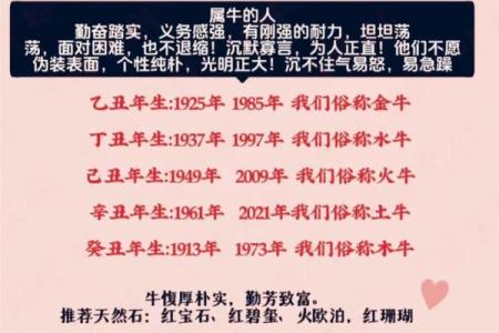 探秘双猪双牛命:命理中的独特象征与深刻内涵