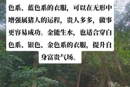 五九命属猪男的命理特点与生活智慧