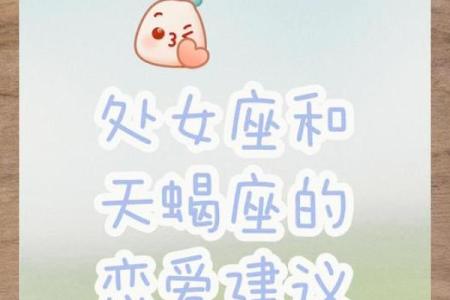 天蝎座与处女座:星座命理中的神秘与理性之交融