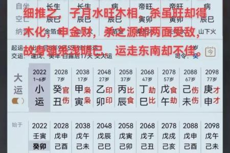 探索壬子壬寅庚午壬午命主的独特人生轨迹与命运解析