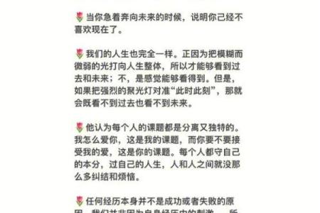 小猫的九条命:生命的勇气与智慧之旅