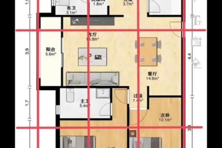 掌握乙木男命住所风水,家居摆放助你事业飞升!