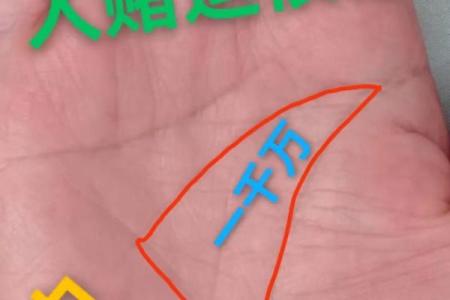探寻掌间秘密:什么掌纹暗示你有当官命?