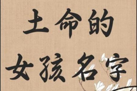 土命女孩的命理解析:揭示她们缺失的元素与性格特征