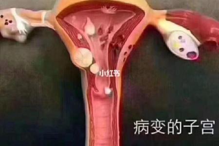 天喜流年女命解析:让好运洒满人生的秘密
