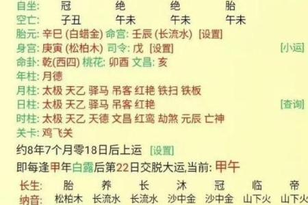 乙亥命主的命理解析:最怕的命与如何化解危机