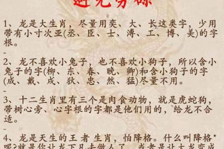 兔尾龙头的命理解读:它真正属于哪种命?
