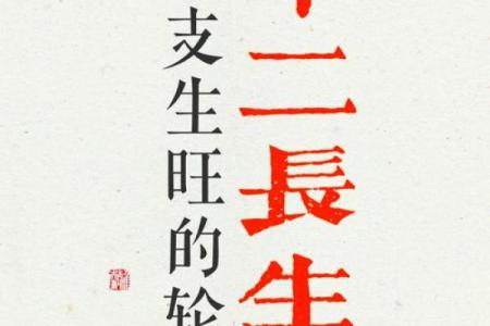 长岁命百:探寻生命的深层意义与哲学