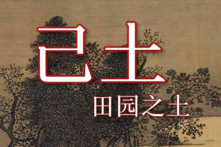 五行土最多,命格深奥:探索命理中的厚重之土