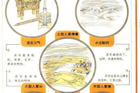 五行城头土:探索这个命理背后的深意与智慧