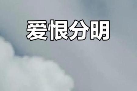 惜你如命恨你入骨:爱与恨的极致对立