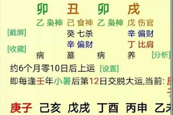五命三缺：命运与人生选择的深度解析