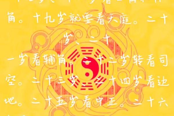 探究1955年出生的人命理特征与人生运势的奥秘