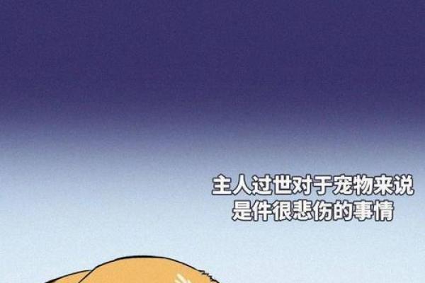 天生贱命的动物：为何它们总是命途多舛？