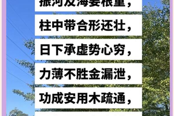 土命与木命如何影响孩子的命运与性格发展