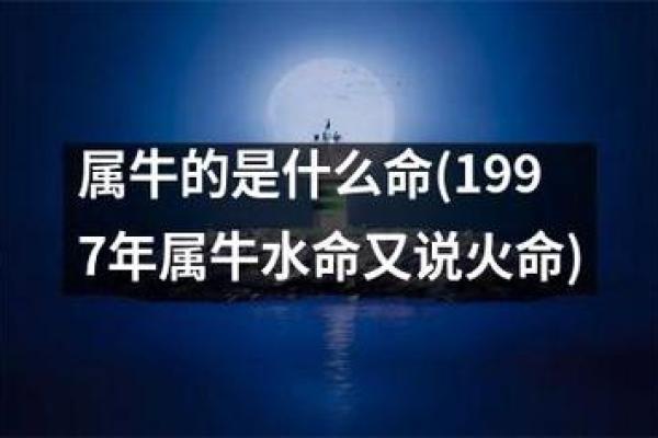 探寻十二生肖的水命之谜：为何只有水命成就独特个性？