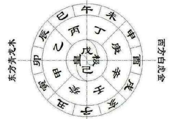 探究壬午甲辰辛酉癸巳的命理特征与人生轨迹