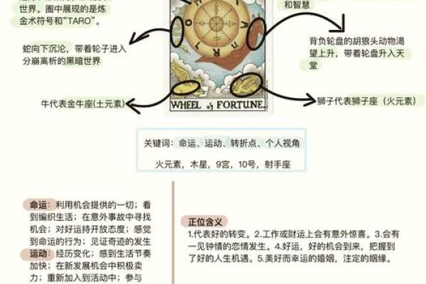 姓名中的“明”字揭示了命运的奥秘与智慧的光辉