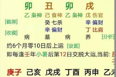 五命三缺:命运与人生选择的深度解析