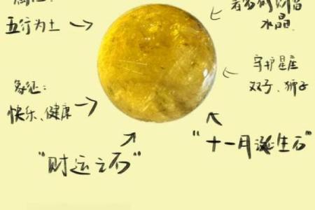 土命龙佩戴水晶的最佳选择,助你运势飞扬!